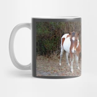 Wild horses, wildlife, Assateague, Island Babe Mug